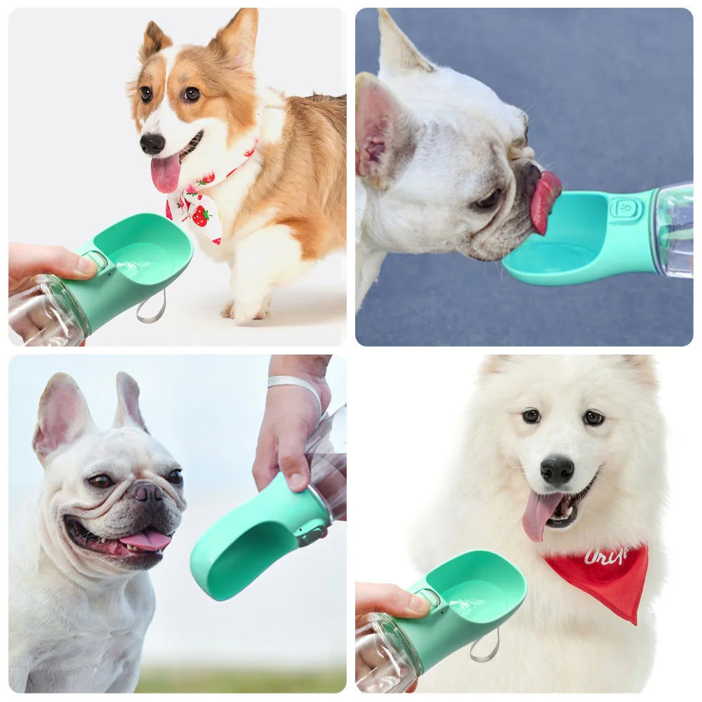 Portable Pet water bottle with attached drinking bowl